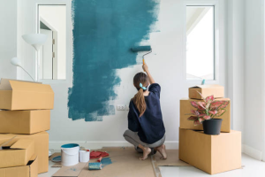 Comfort voor U en Uw Huisdier: Een Frisse Look Voor Elk Huis